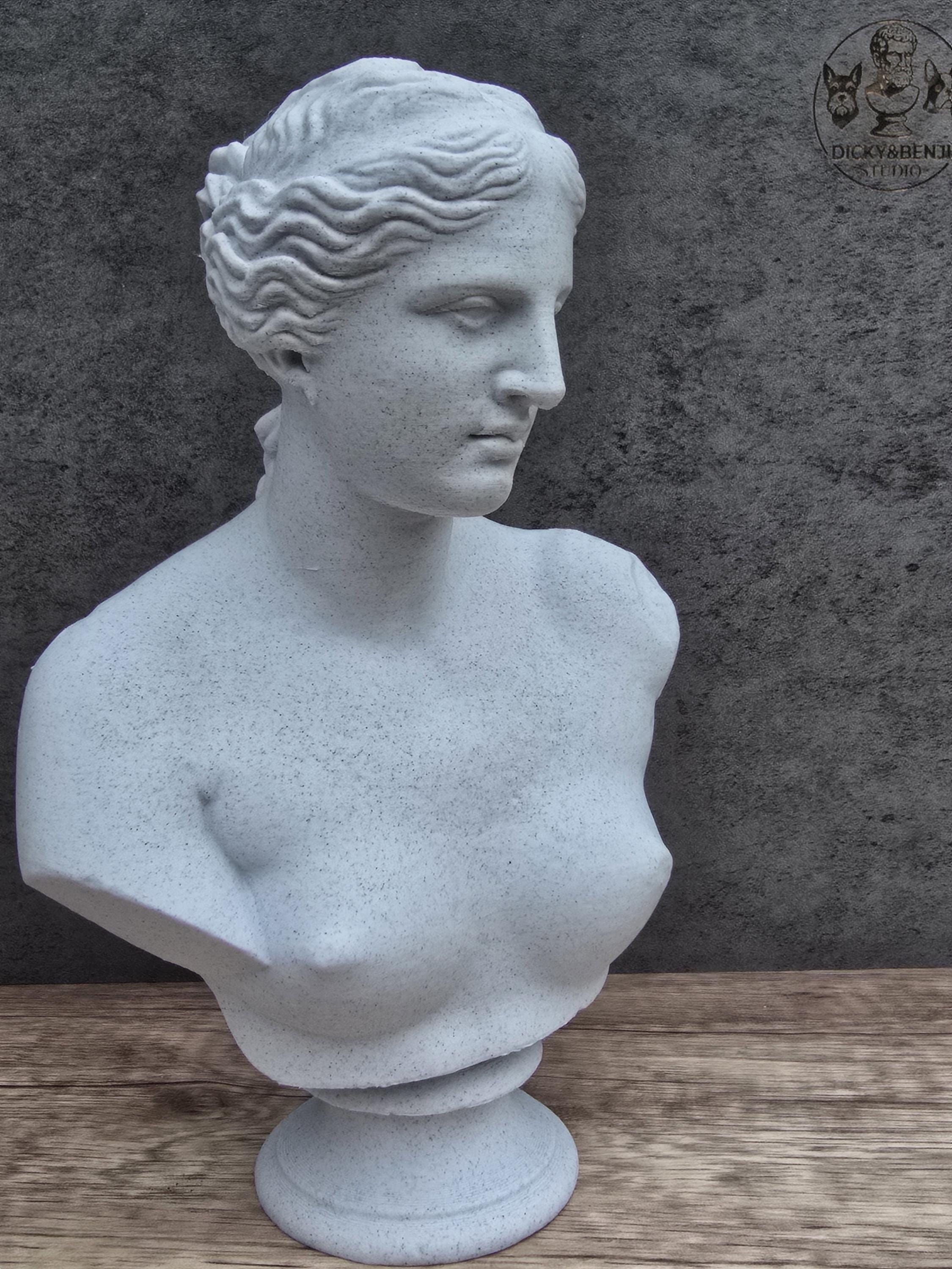 Aphrodite Bust Statue | Venus Greek Roman Goddess Sculpture | Classical Art– 3D Printed