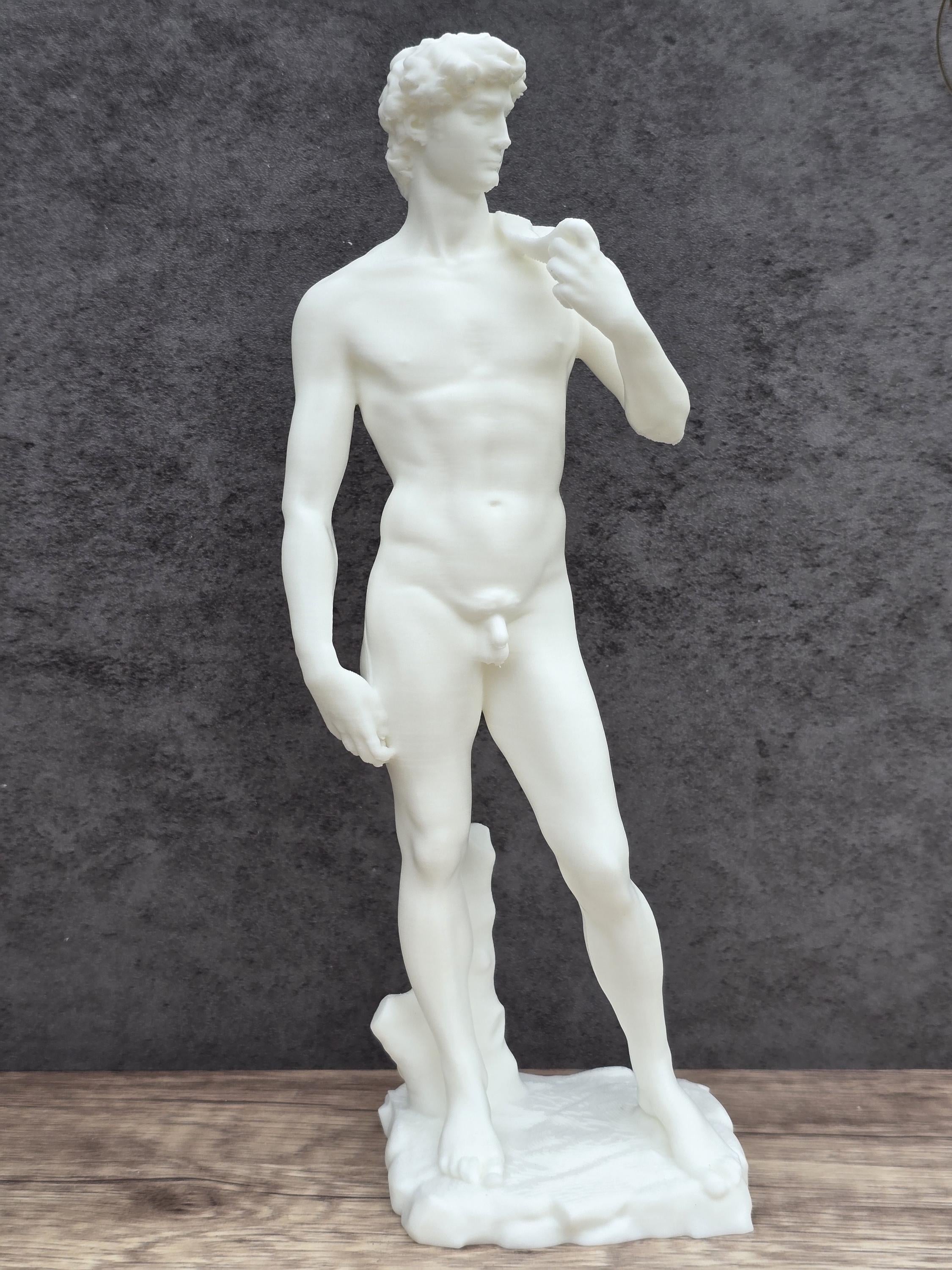 David Statue