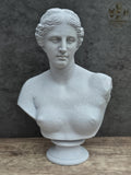 Aphrodite Bust Statue