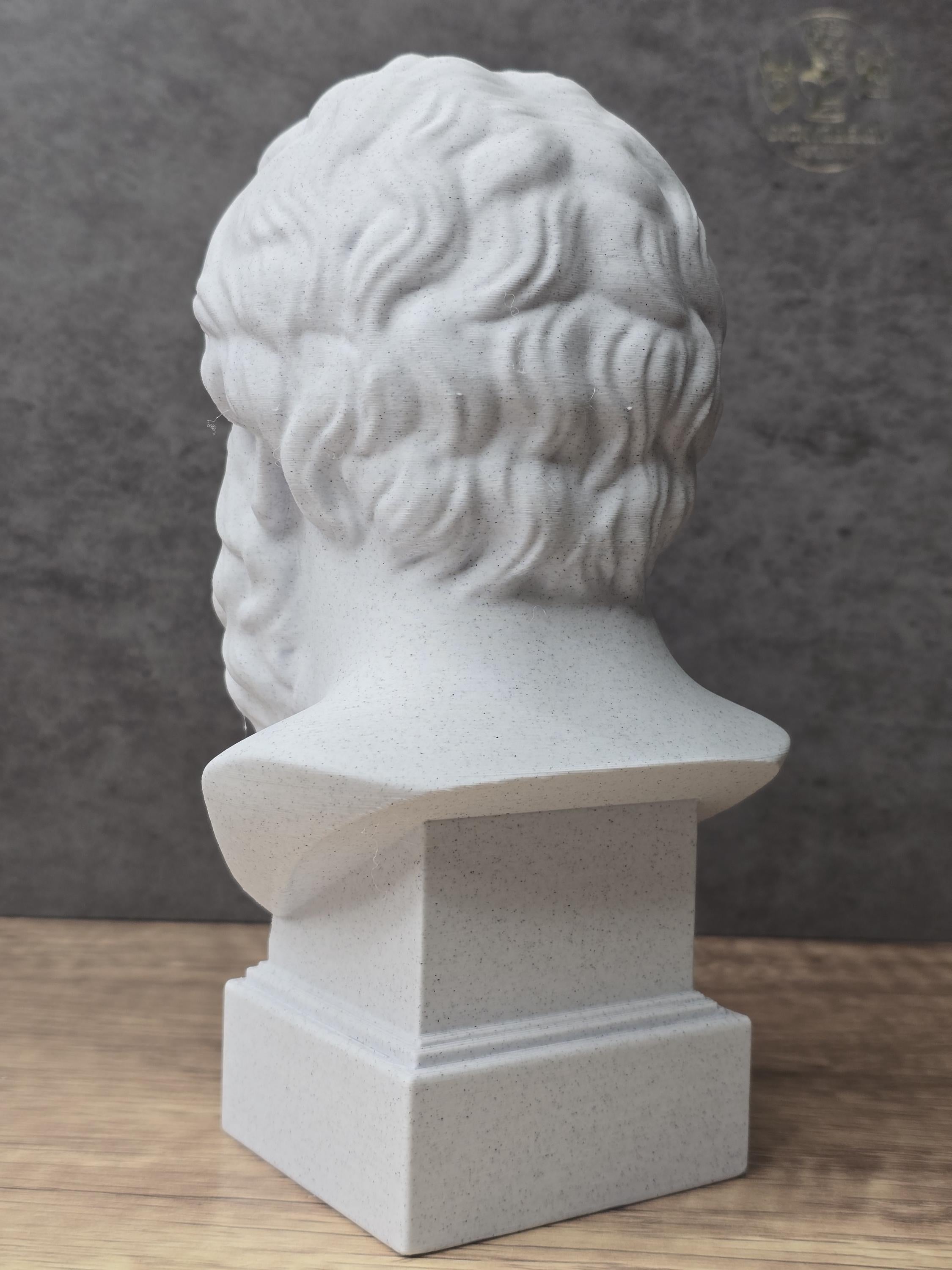 Socrates Bust Statue
