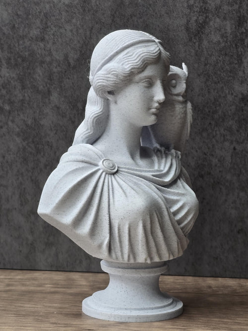 Athena Bust With Owl