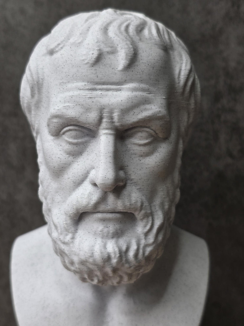 Aristotle Bust