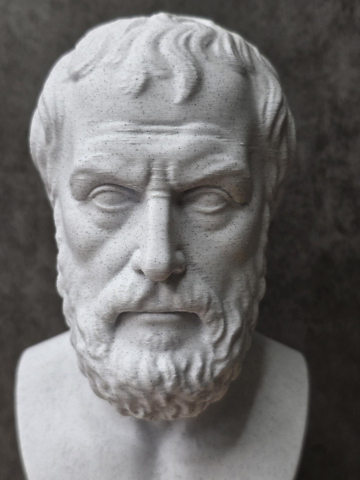 Aristotle Bust