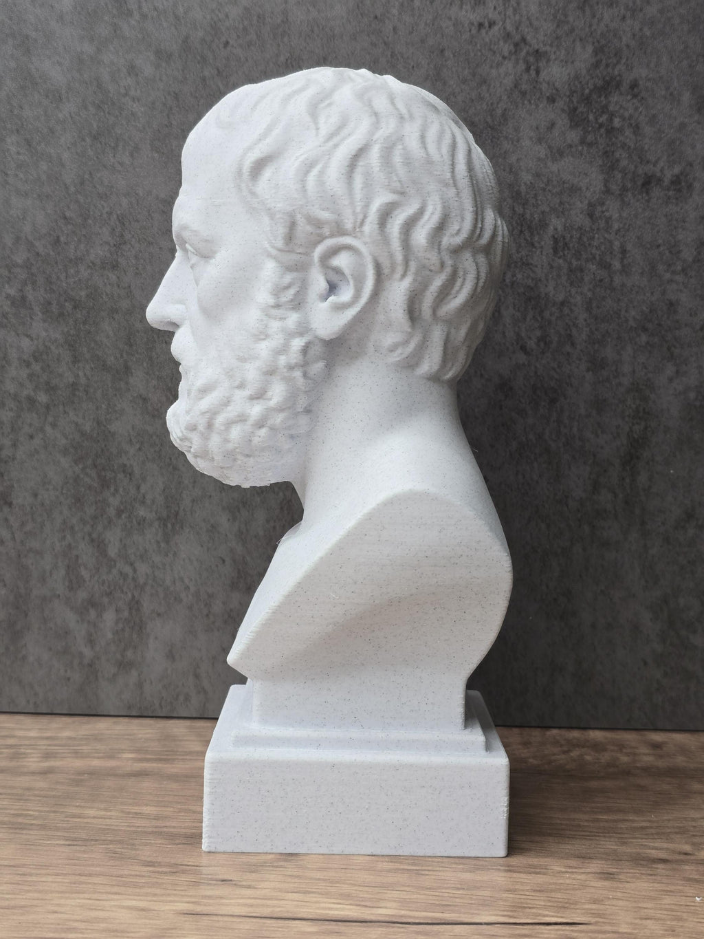 Aristotle Bust