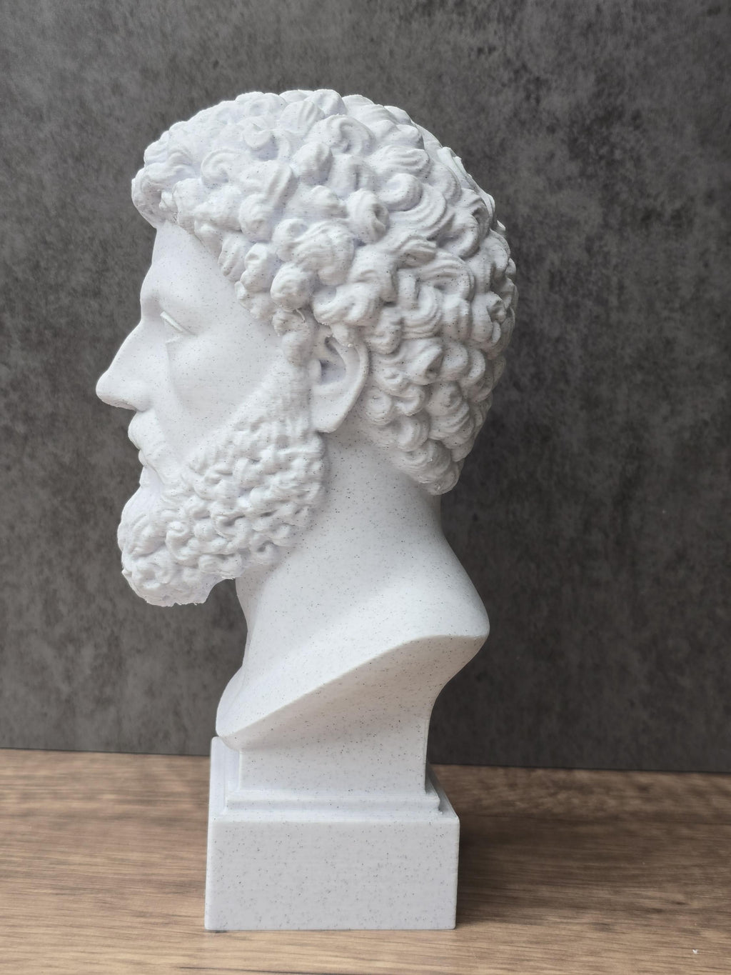 Marcus Aurelius Head Bust