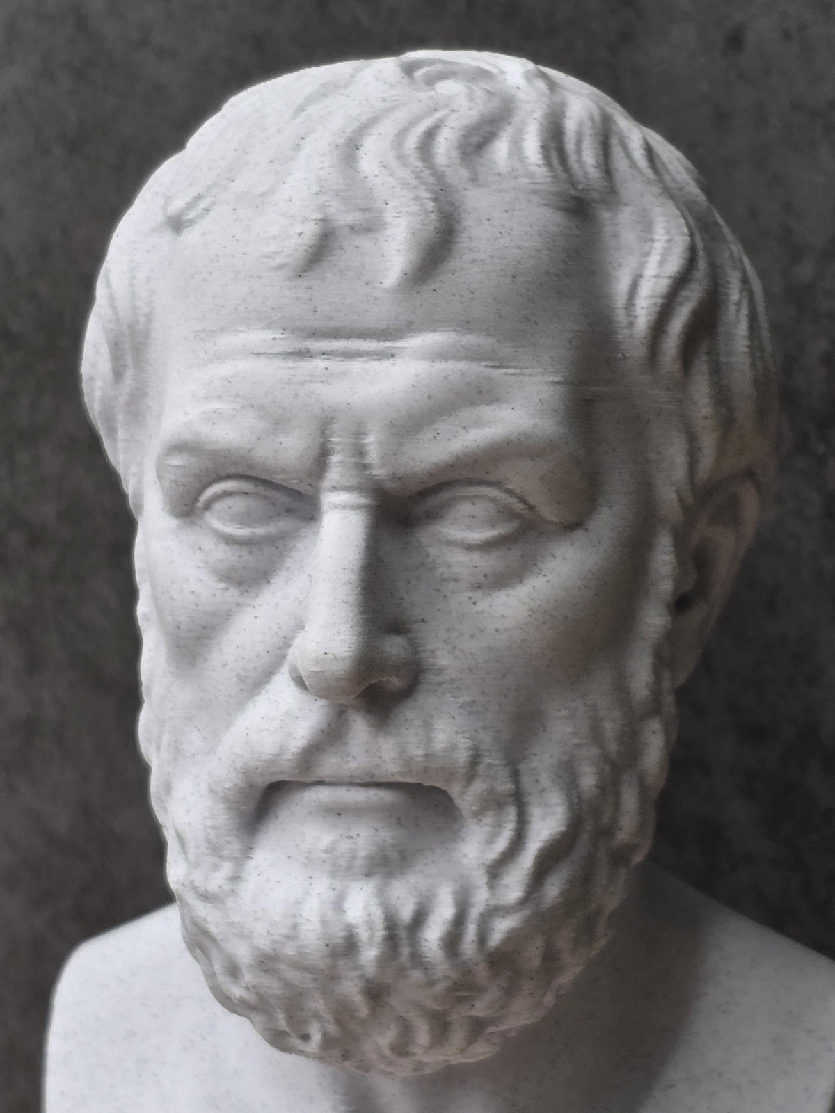 Aristotle Bust