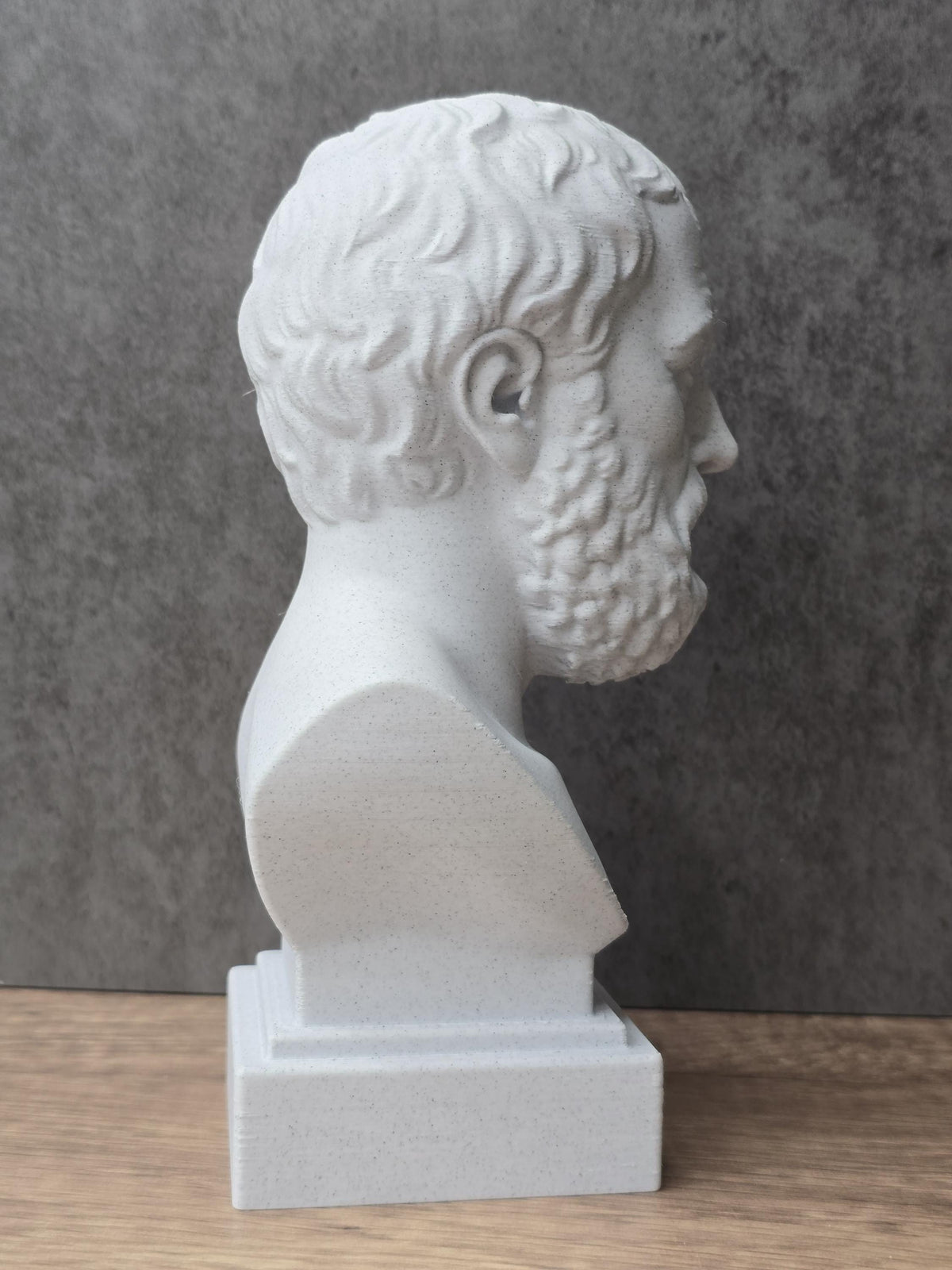 Aristotle Bust