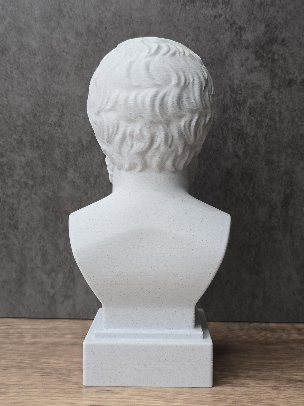 Aristotle Bust