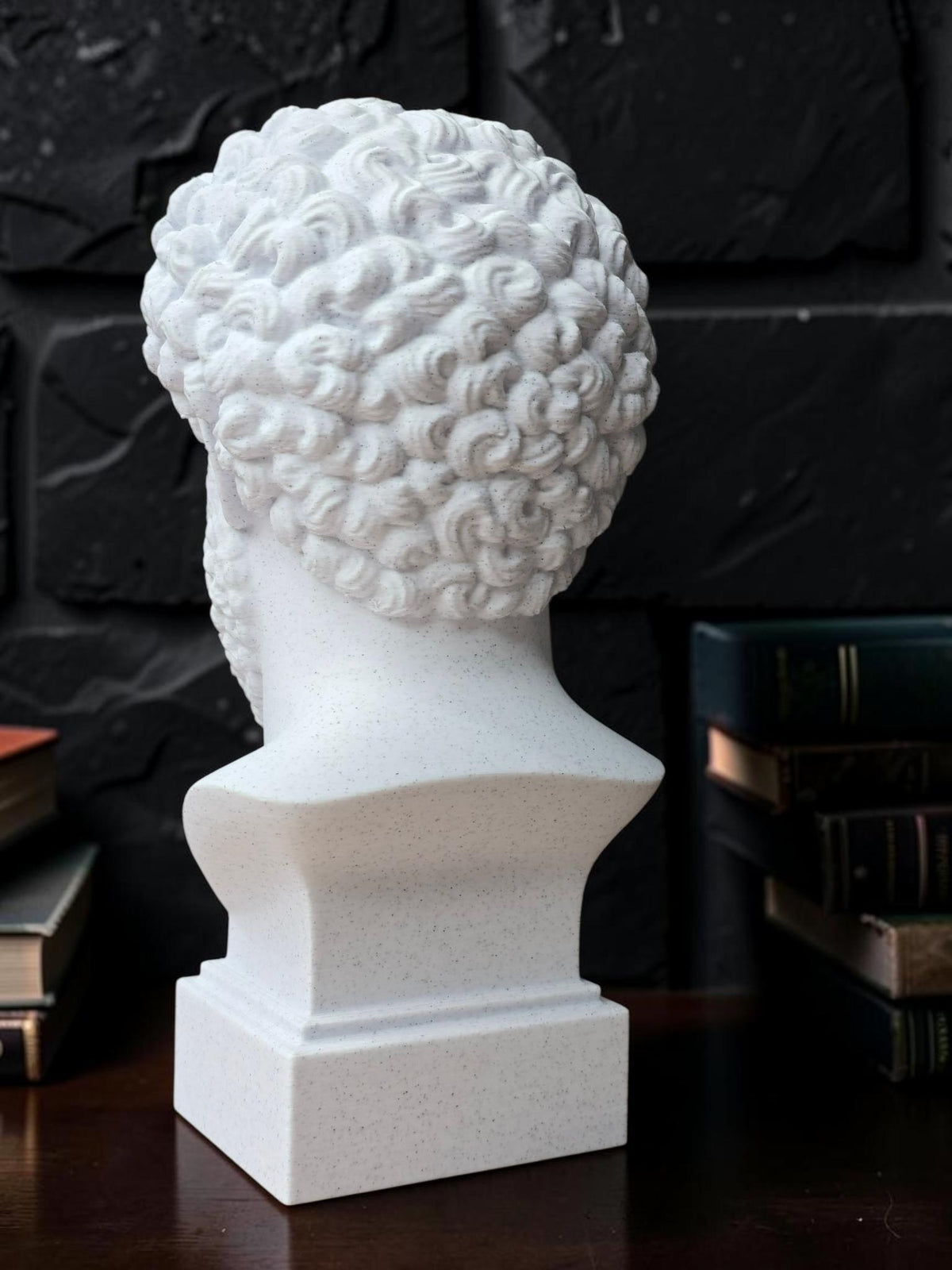 Marcus Aurelius Head Bust