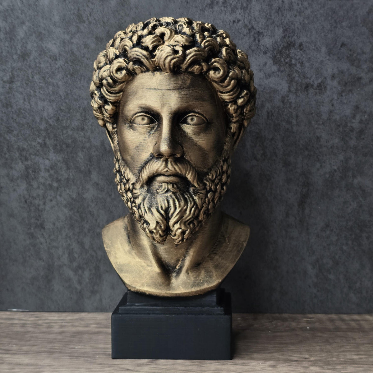 Marcus Aurelius Head Bust