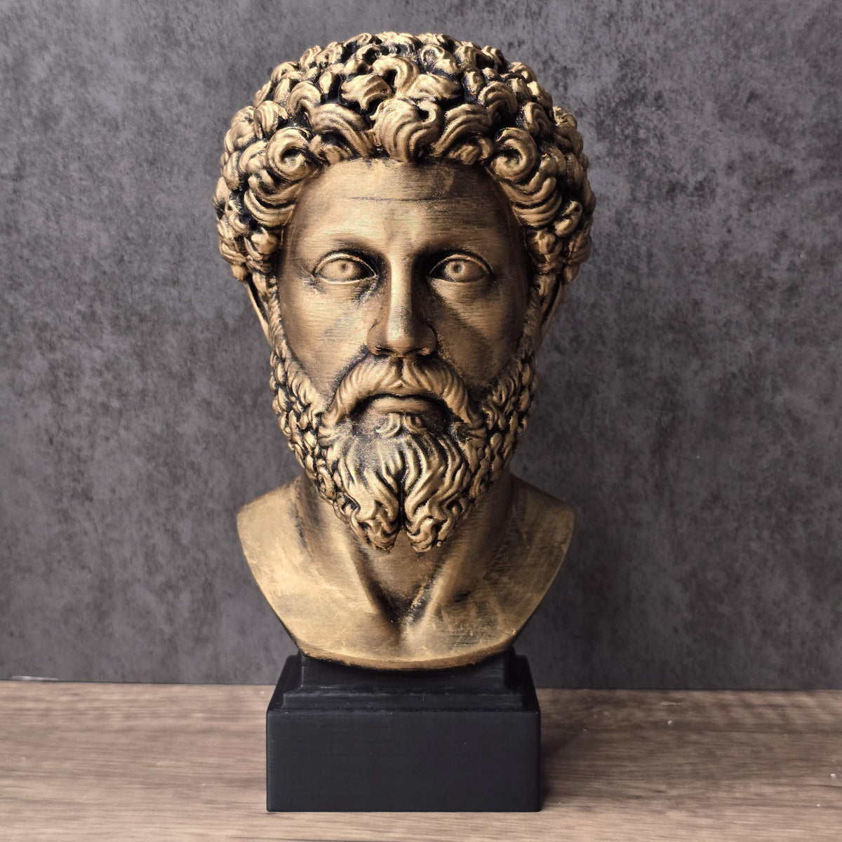 Marcus Aurelius Head Bust