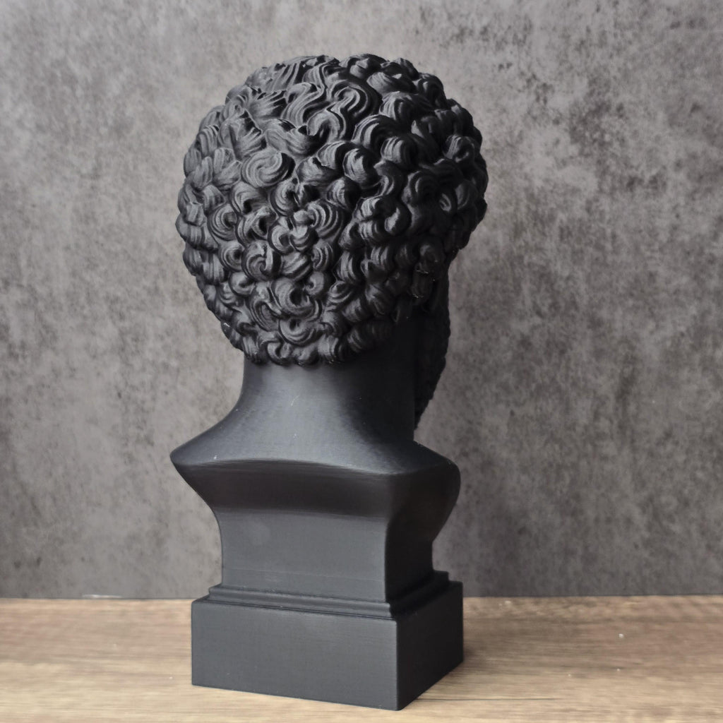 Marcus Aurelius Head Bust