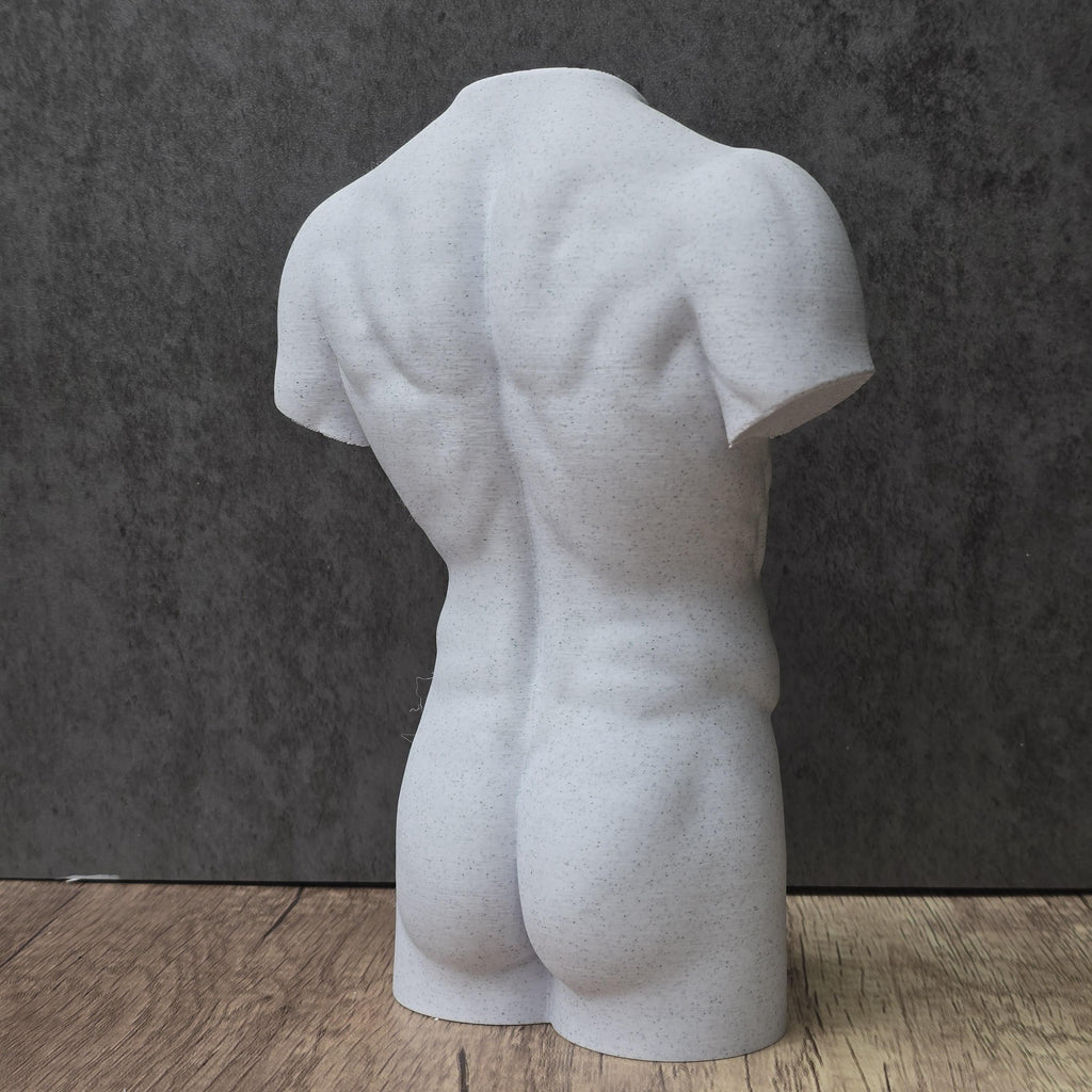 Male Torso Statue
