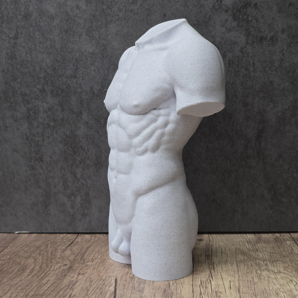 Male Torso Statue