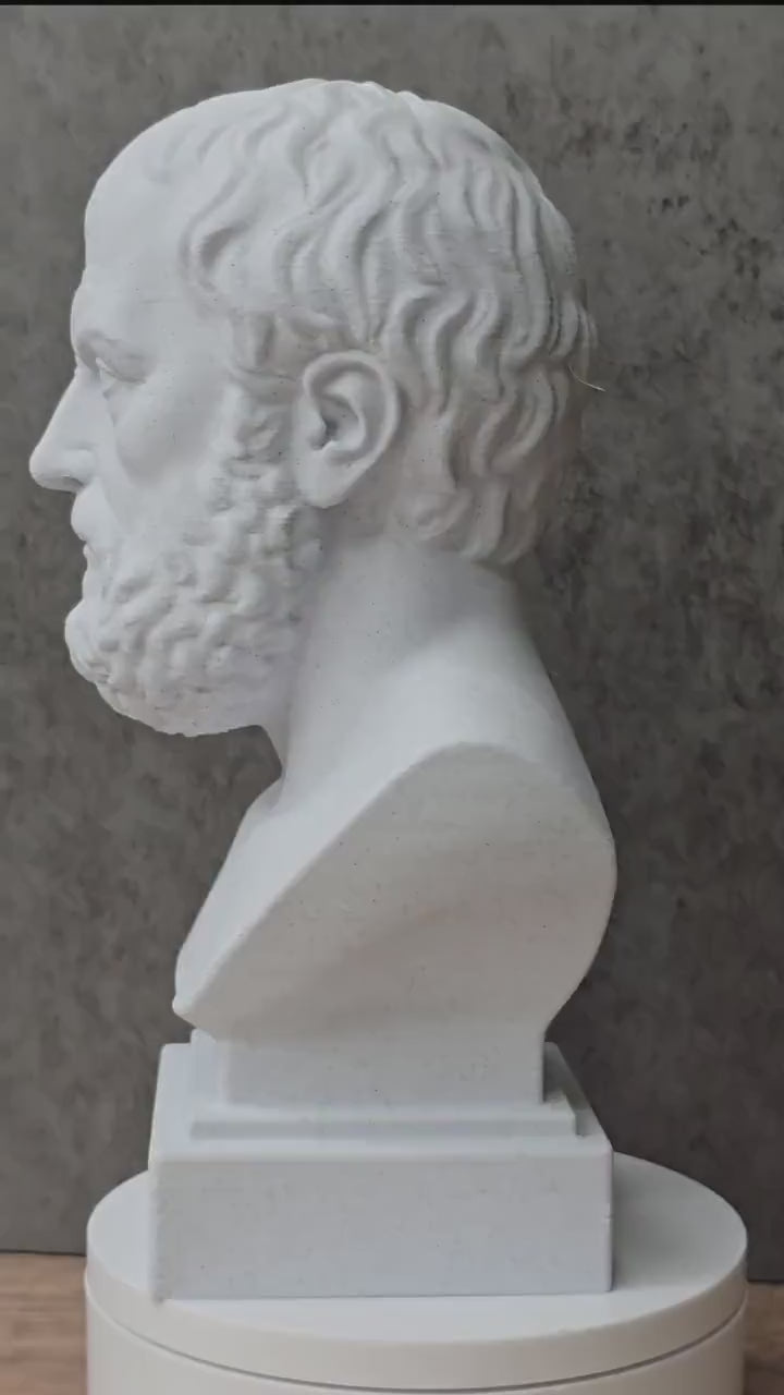 Aristotle Bust