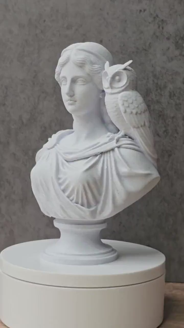 Athena Bust With Owl