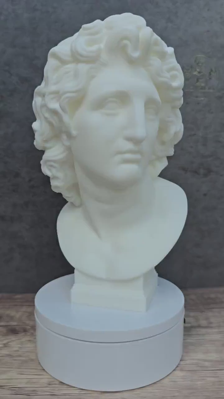Alexander the Great Bust