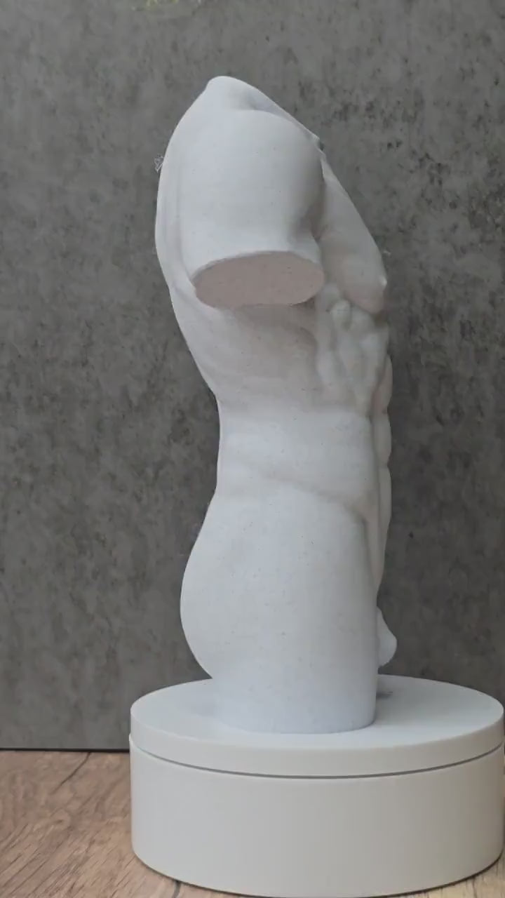 Male Torso Statue